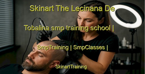 Skinart The Lecinana De Tobalina smp training school | SmpTraining | SmpClasses | SkinartTraining-Spain